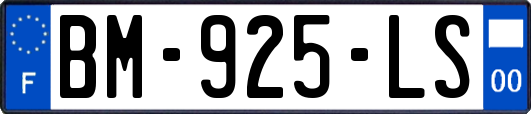 BM-925-LS