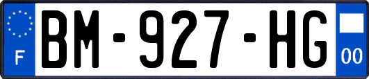 BM-927-HG