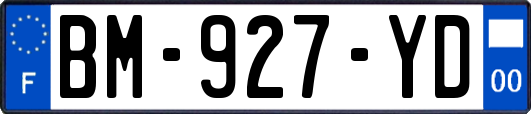 BM-927-YD