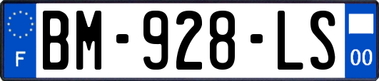 BM-928-LS