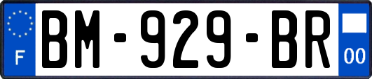 BM-929-BR