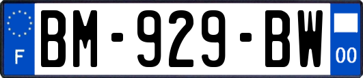 BM-929-BW