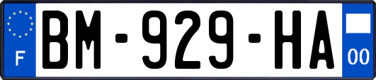 BM-929-HA