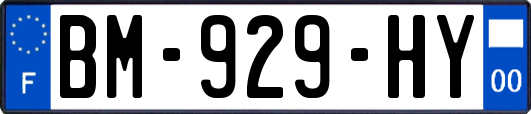 BM-929-HY