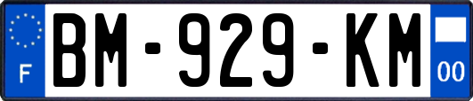 BM-929-KM