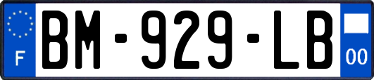 BM-929-LB
