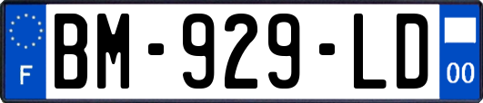 BM-929-LD