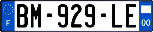BM-929-LE
