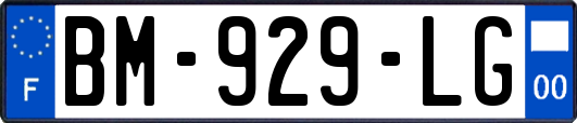 BM-929-LG