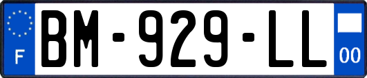 BM-929-LL