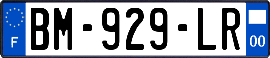 BM-929-LR