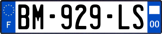 BM-929-LS