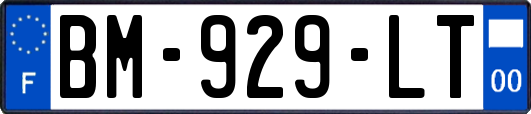 BM-929-LT