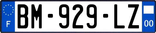 BM-929-LZ