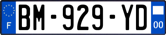 BM-929-YD