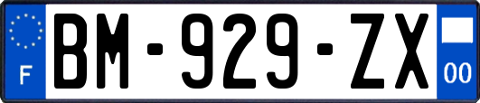 BM-929-ZX