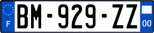 BM-929-ZZ