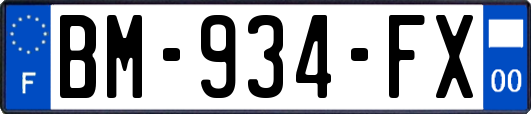 BM-934-FX