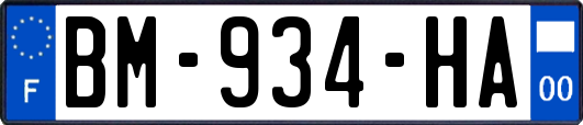 BM-934-HA