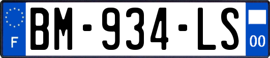 BM-934-LS