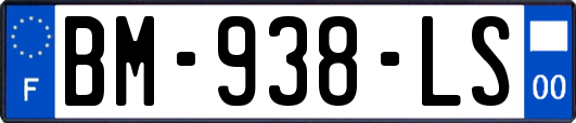 BM-938-LS