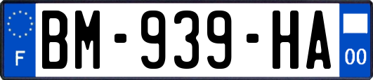 BM-939-HA