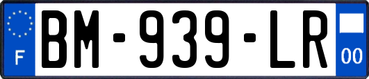BM-939-LR