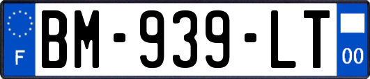 BM-939-LT
