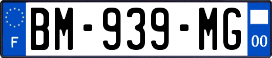 BM-939-MG