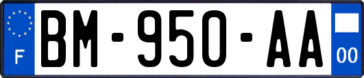 BM-950-AA