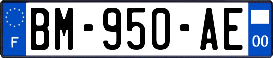 BM-950-AE