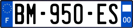 BM-950-ES