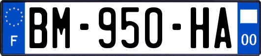 BM-950-HA