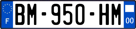 BM-950-HM