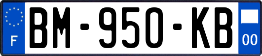 BM-950-KB