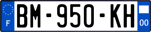 BM-950-KH