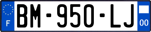 BM-950-LJ