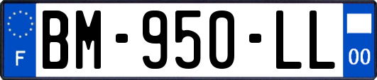 BM-950-LL