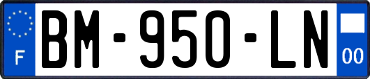 BM-950-LN