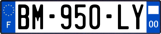 BM-950-LY