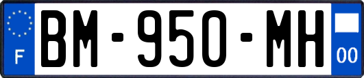 BM-950-MH