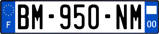 BM-950-NM