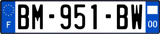 BM-951-BW