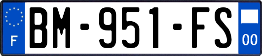 BM-951-FS