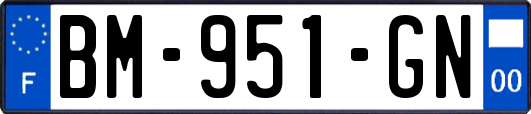 BM-951-GN