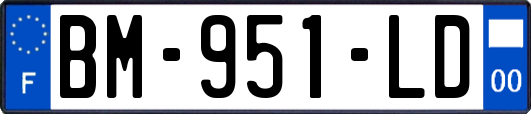 BM-951-LD