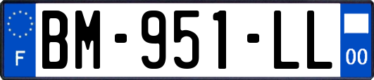 BM-951-LL