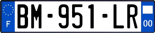BM-951-LR