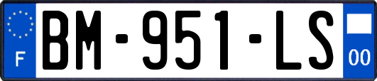 BM-951-LS