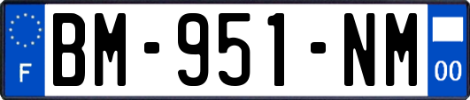 BM-951-NM